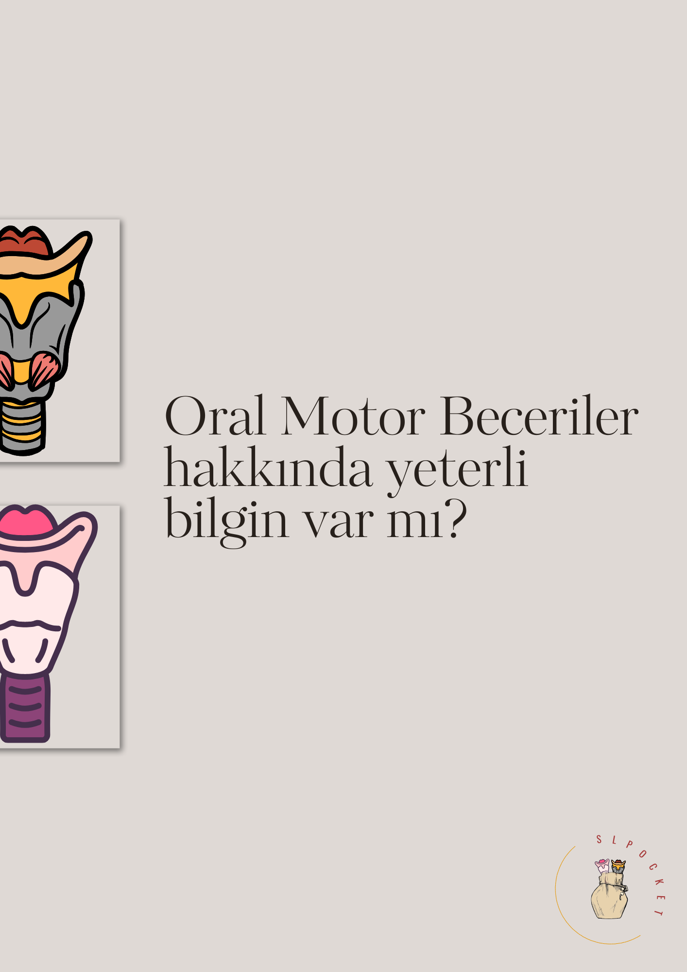 Oral Motor Öneriler ve Açıklama (Geriatri)