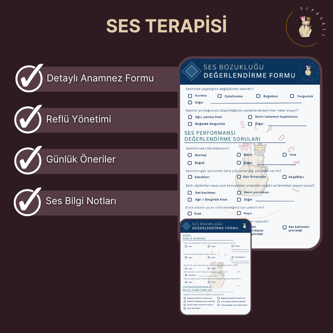 Ses Terapisi