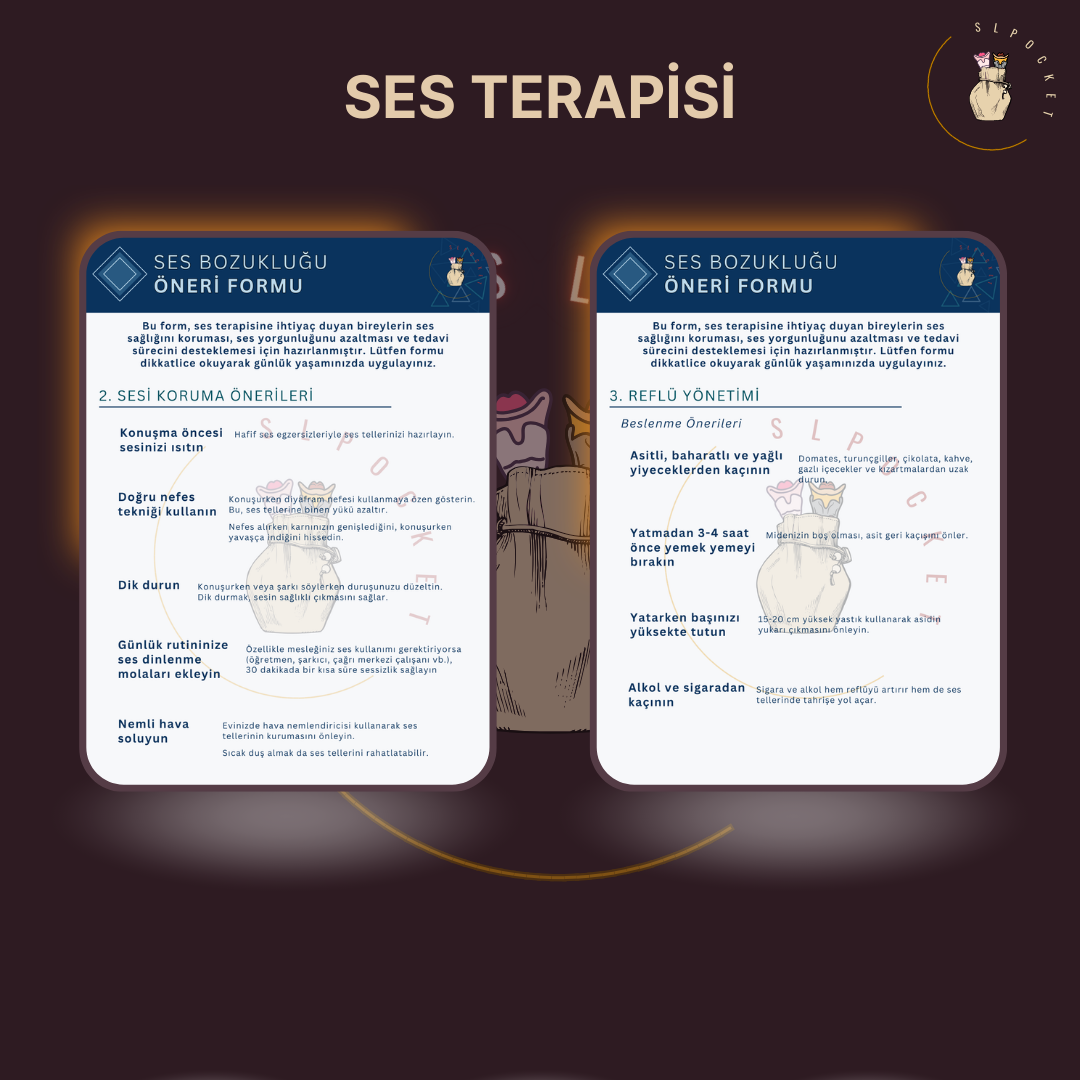 Ses Terapisi