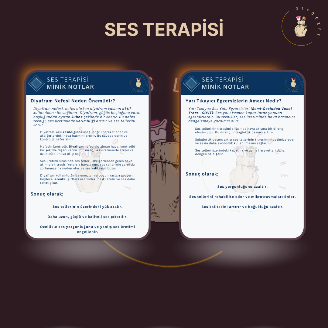 Ses Terapisi