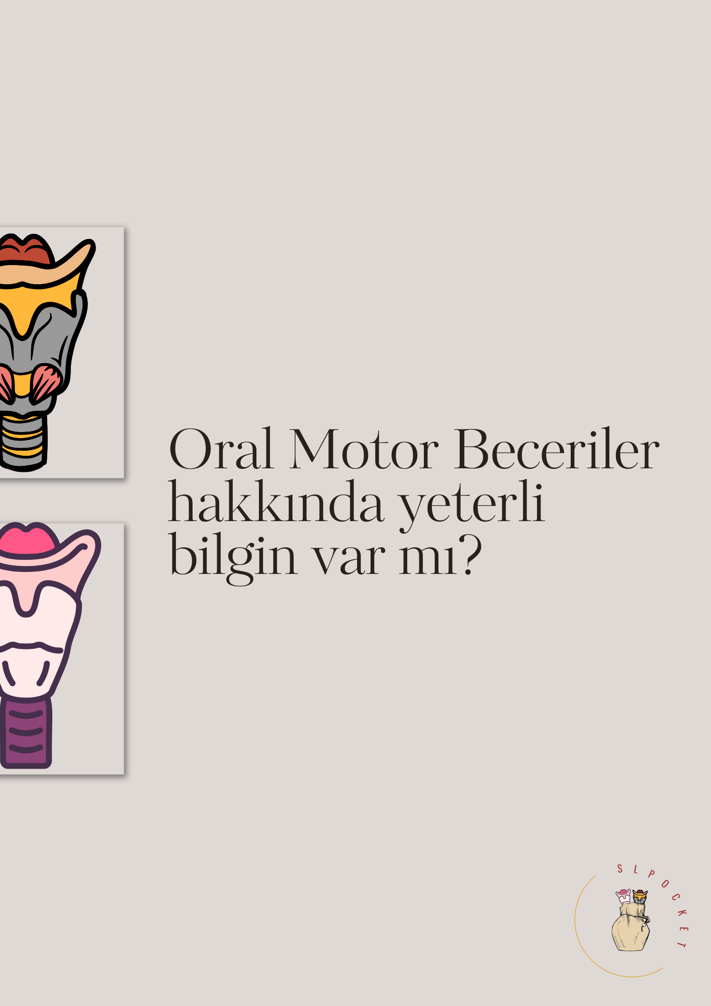 Oral Motor Öneriler (Geriatri)