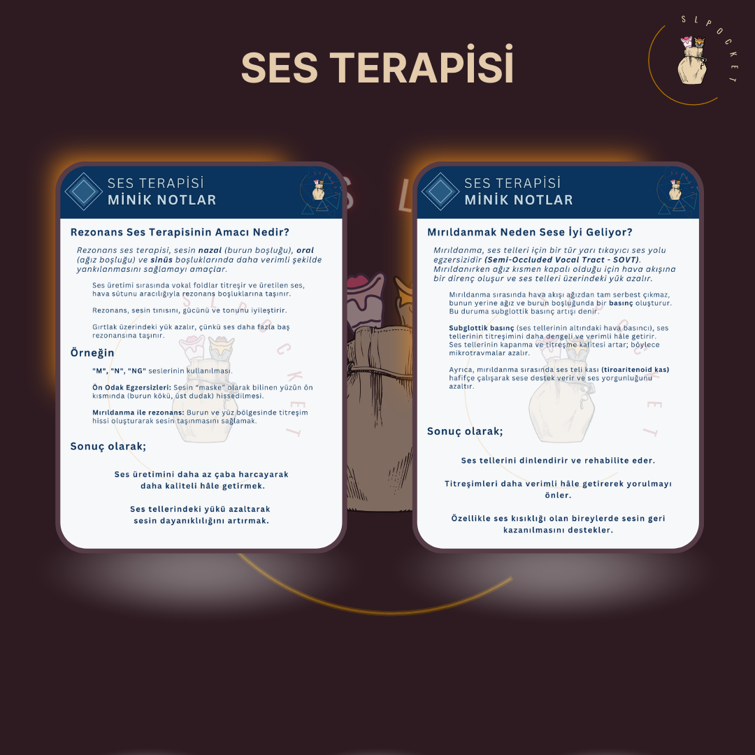 Ses Terapisi