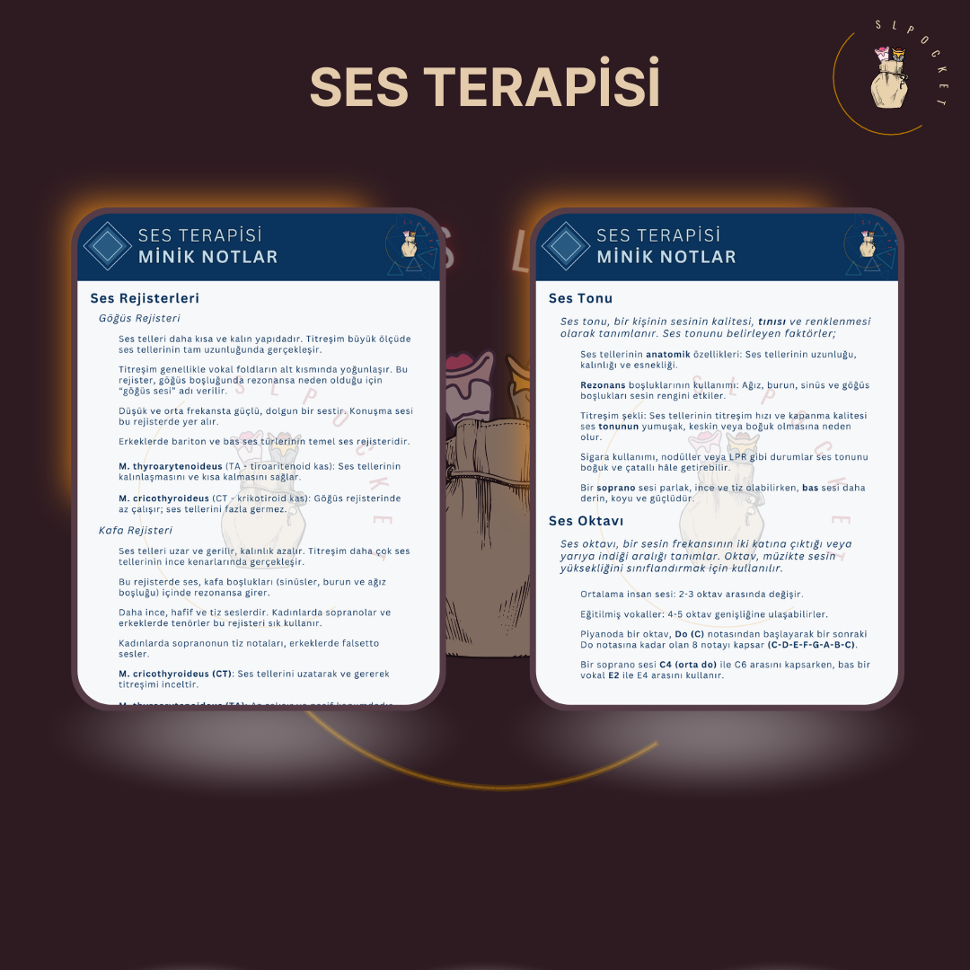 Ses Terapisi